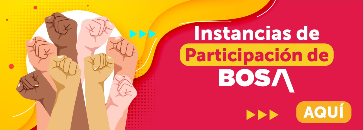 Conoce más de las instancias de participación de Bosa