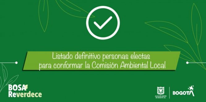 Listado definitivo - Personas electas para conformar la Comisión Ambiental Local