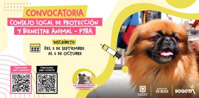 Serán elegidos 10 líderes de protección y bienestar animal, 2 delegados de organizaciones o fundaciones y 1 representante de fauna.