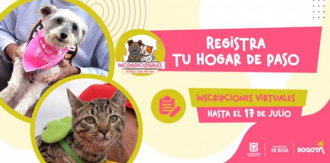 - reconocer, fortalecer y apoyar la labor de las personas que se dedican al rescate y cuidado de animales domésticos.   - verificar que los animales domésticos rescatados y albergados en hogares de paso estén en condiciones de bienestar físico y emocional.  - respaldar y potenciar el servicio que les prestan a animales vulnerables y a la sociedad.