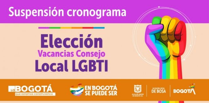 Suspensión cronograma elección vacancias Consejo Local LGBTI