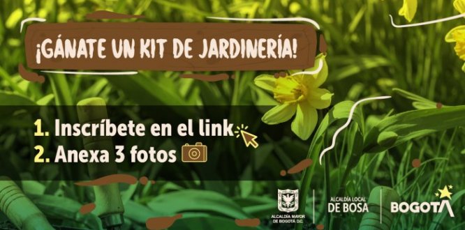 Podrán participar las JAC o representantes de los colectivos ambientales.