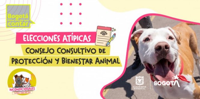 Elecciones Consejo Consultivo Local para la protección y el bienestar animal de Bosa