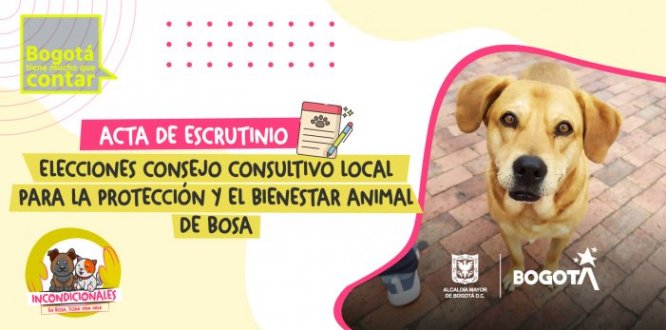 ACTA DE ESCRUTINIO - ELECCIONES CONSEJO CONSULTIVO LOCAL PARA LA PROTECCIÓN Y EL BIENESTAR ANIMAL DE BOSA