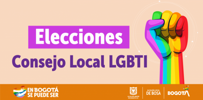 elecciones de las vacantes del Consejo Local LGBTI 2023-2024
