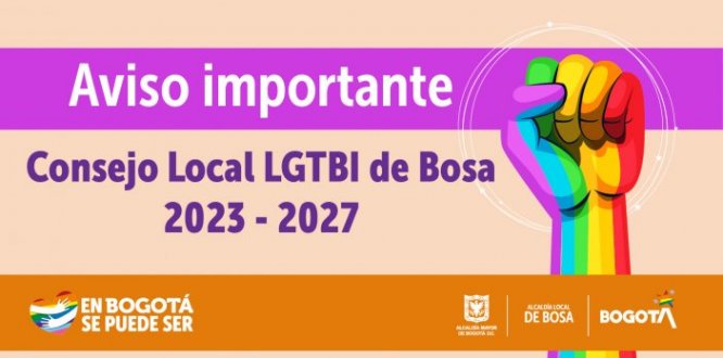 Posesión Consejo Local LGBTI