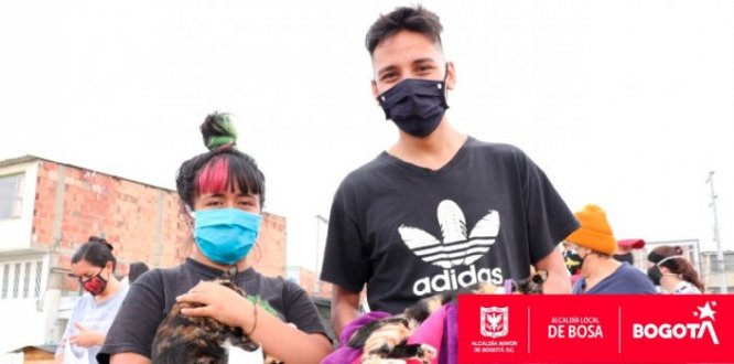 Durante la jornada de esterilización realizada en el sector de Parques de la Alameda, ubicado sobre la ronda del Humedal Tibánica y liderada por la Alcaldía Local de Bosa a través del Instituto Distrital de Protección y Bienestar Animal de la Alcaldía Mayor de Bogotá, fueron atendidos 130 perros y gatos, y se rescataron 9 cachorros junto a su madre En jornada de esterilización rescatan en Bosa 9 cachorros y a su madre