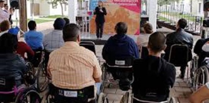 discapacidad discapacidad