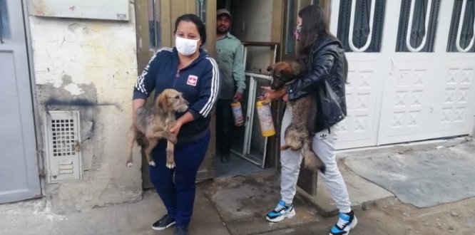 Bosa participó activamente en el Simulacro de autoprotección 2020