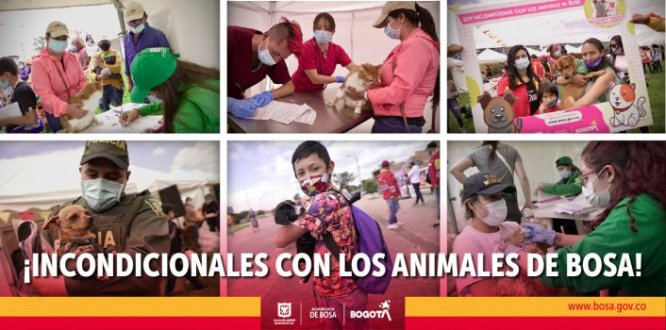 ¡INCONDICIONALES CON LOS ANIMALES DE BOSA!