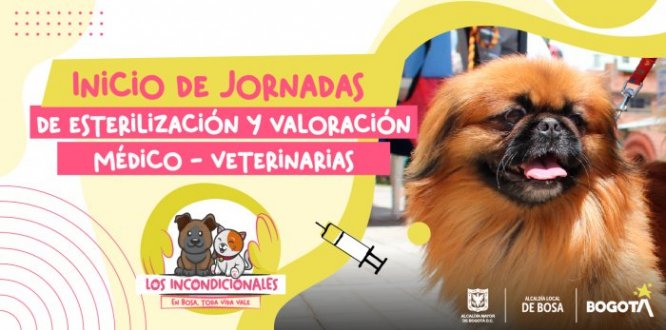 Jornadas gratuitas de esterilización en Bosa