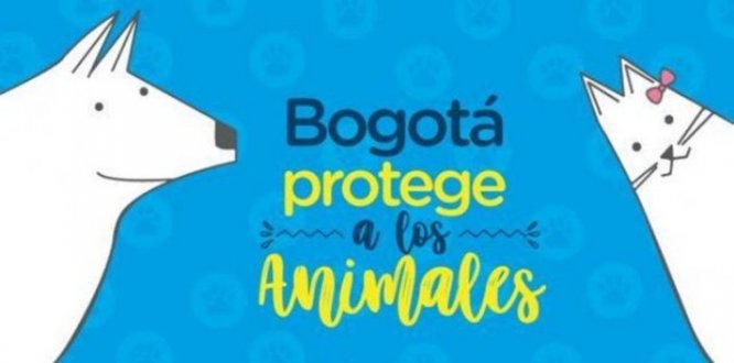 Semana de la protección y bienestar animal