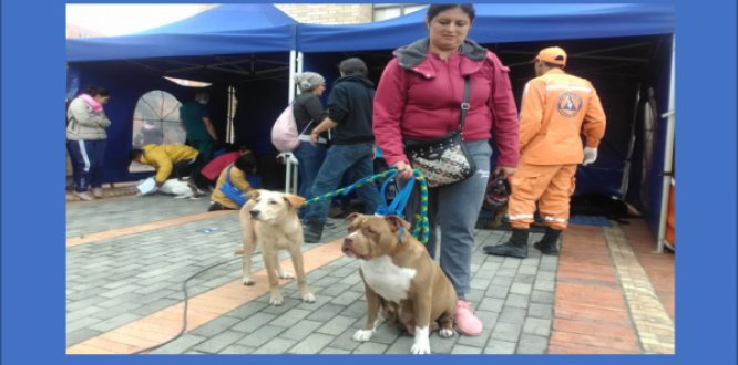 EN BOSA, NOS PONEMOS EN SUS PATAS