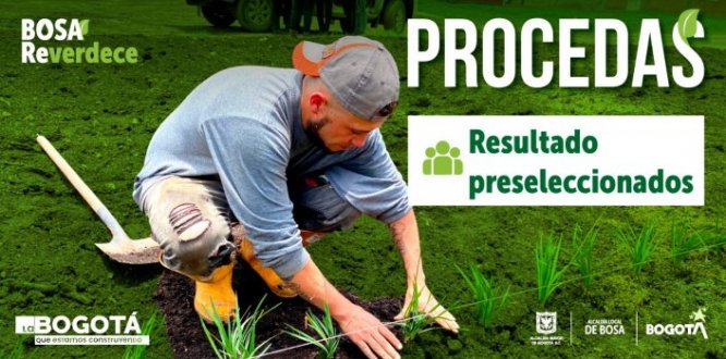 Resultado preseleccionados - PROCEDAS