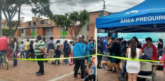 Bosa ponte en sus patas