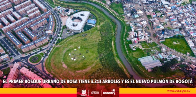  El bosque urbano de Bosa cuenta con 20 especies nativas. 