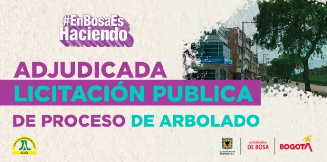 La estrategia de Bosa Reverdece, cada vez más una realidad La estrategia de Bosa Reverdece, cada vez más una realidad