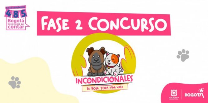 Conoce la segunda fase del concurso Incondicionales 