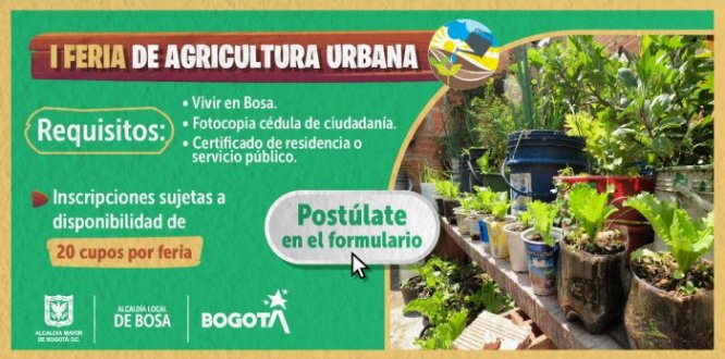 La meta de la Alcaldía de Bosa es crear una red por UPZ.