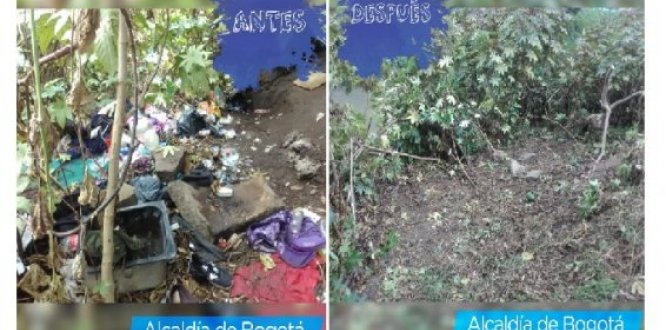 EN BOSA, EL MEDIO AMBIENTE SIEMPRE ESTÁ DE MODA EN BOSA, EL MEDIO AMBIENTE SIEMPRE ESTÁ DE MODA