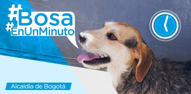  Boletín Informativo Bosa | julio 8 - 14