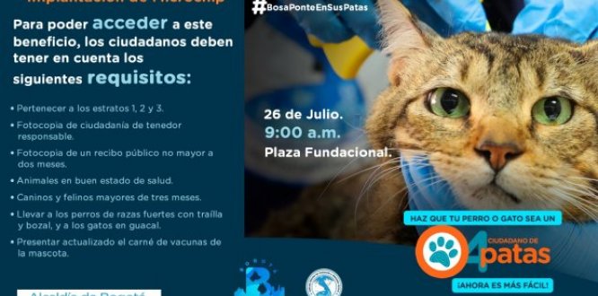 EN BOSA SE REALIZÓ IMPLANTACIÓN DE MICROCHIP EN ANIMALES DE COMPAÑÍA  