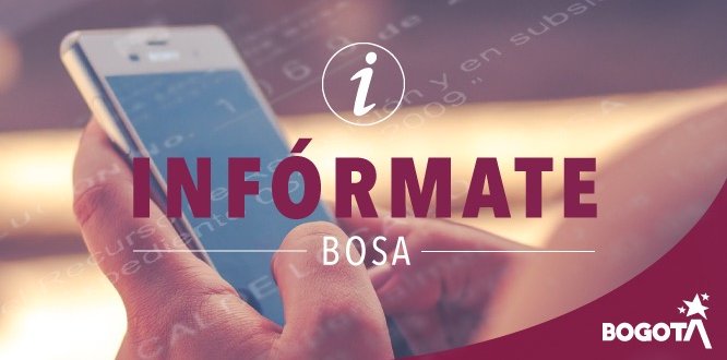 Informe Consejo Local de Gobierno Bosa