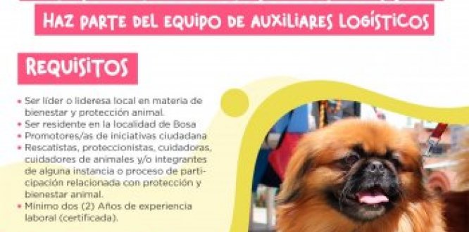 ¡Haz parte del equipo logístico de protección animal de Bosa!