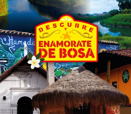 ¡Descubre y Enamórate de Bosa! 