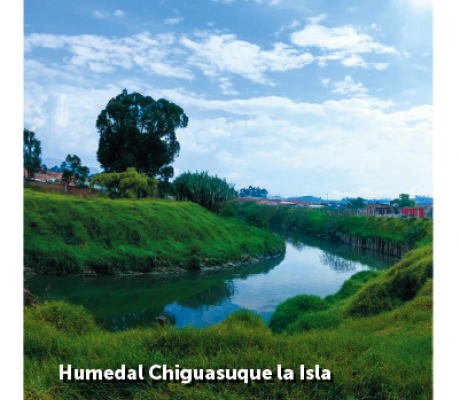 Humedal Chiguasuque La Isla - Maravilla de Bosa 