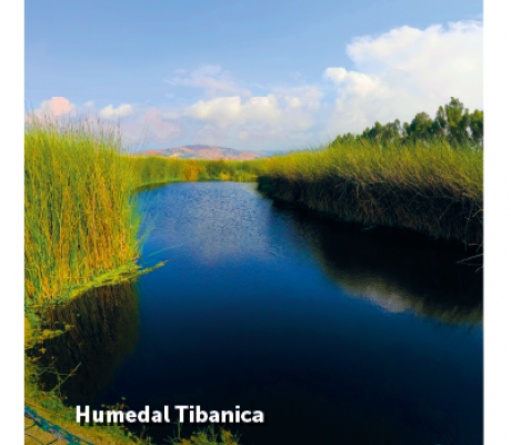 Humedal Tibanica - Maravilla de Bosa 