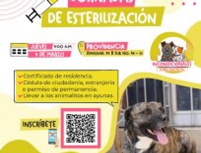 Jornada de esterilización