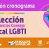 Suspensión cronograma elección vacancias Consejo Local LGBTI
