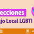 elecciones de las vacantes del Consejo Local LGBTI 2023-2024