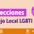 Información importante - Elecciones Consejo Local LGBTI