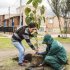 Administración Peñalosa invita a los bogotanos a participar en ‘Megaplantatón’ de árboles en la ciudad
