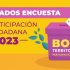 Resultados Encuesta de Participación 