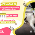 Desde la Alcaldía Local de Bosa se siguen adelantando las jornadas de esterilización y valoración médico-veterinaria, para los perros y gatos de hogares de paso, en habitabilidad de calle y tenedores responsables, a través del contrato 347 del 2022.