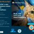 EN BOSA SE REALIZÓ IMPLANTACIÓN DE MICROCHIP EN ANIMALES DE COMPAÑÍA  