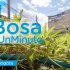 Boletín Informativo Bosa | julio 29 - agosto 4