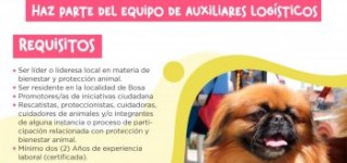 ¡Haz parte del equipo logístico de protección animal de Bosa!